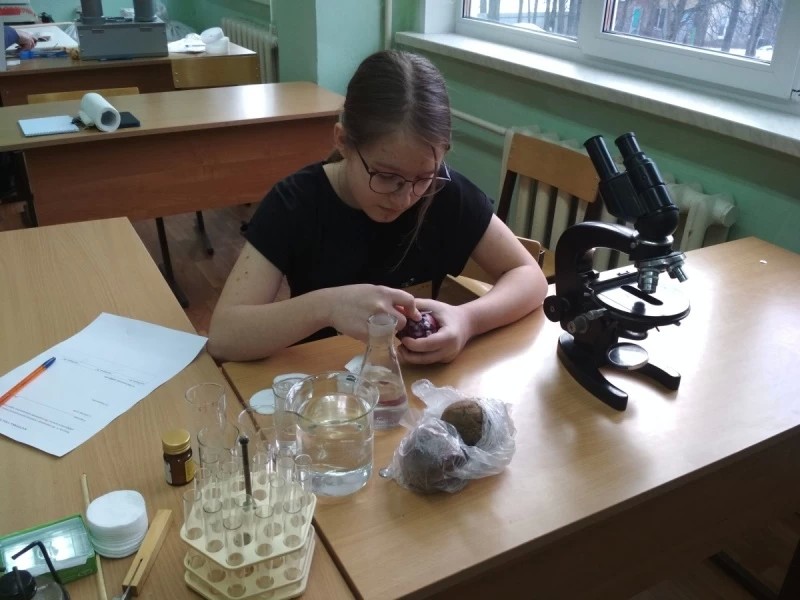 Региональный этап чемпионата молодых профессионалов WorldSkills Russia пройдет в Сергиево-Посадском аграрном колледже