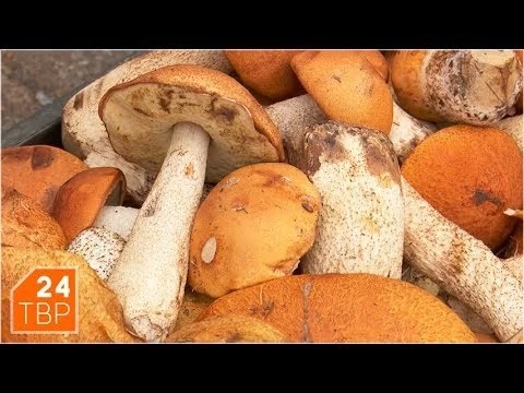 Дары природы, ради которых пришлось попотеть