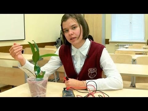 Лицеисты Сергиево-Посадского физмата вновь блеснули талантами