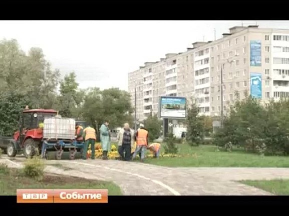 Цветы - цветам жизни. В преддверии учебного года посадские озеленители благоустраивают цветочные композиции на бульваре Кузнецова