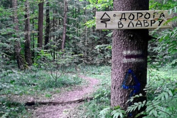 За сутки от Москвы до Посада