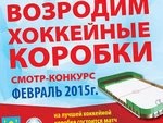 В районе выберут лучшую хоккейную коробку