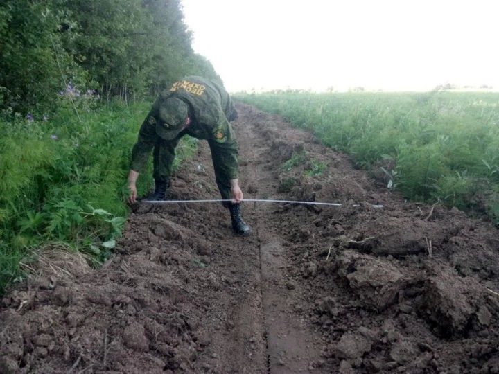 Противопожарные барьеры обустроили на территории лесов Сергиево-Посадского округа