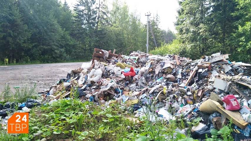 В четырёх точках Сергиево-Посадского округа пресечён несанкционированный сброс 52 кубометров мусора