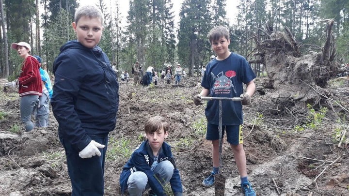 Сергиевопосадцы сажают «Лес Победы»