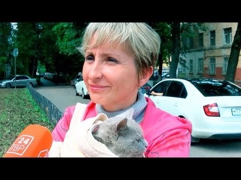 Чем увлекались в детстве?