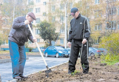 Преображение пустыря