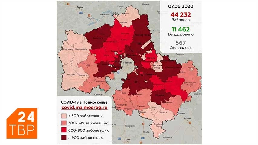 Сводка по COVID-19 в Подмосковье на 7 июня