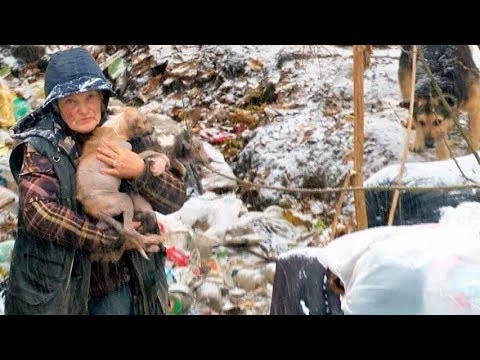 Жизнь на свалке