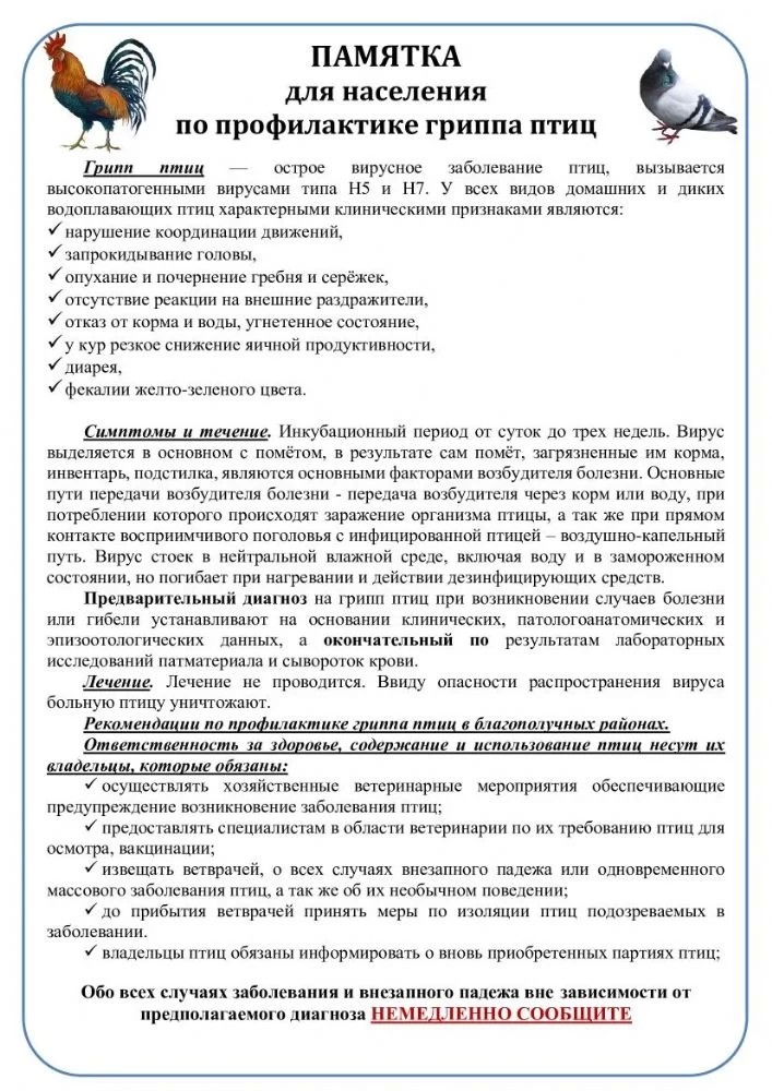 Памятка для населения по профилактике гриппа птиц