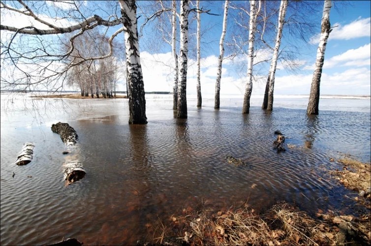 К половодью готовятся сообща