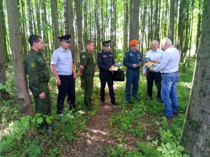 В лесах  Сергиево-Посадского района устранили свалки мусора