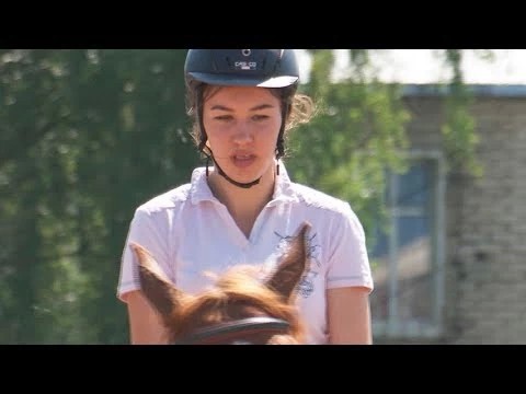 Конная школа на Фестивальной