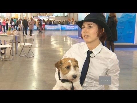 Танец с собакой