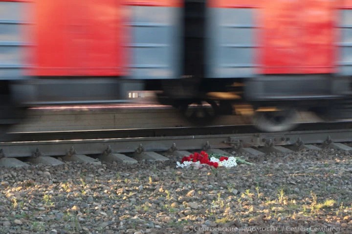 Семилетняя девочка погибла под колёсами поезда
