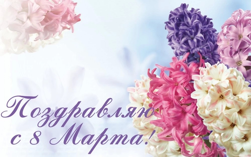 Поздравление Уполномоченного по правам человека в МО  Екатерины Семёновой