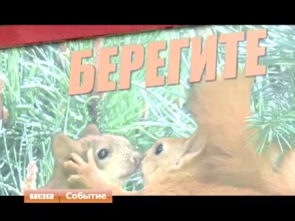 Районная администрация объявила конкурс «Лучшие природоохранные достижения в производственной деятельности»