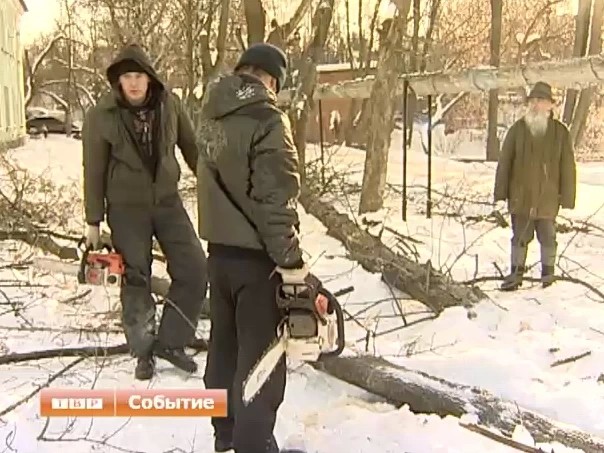 Деревья, дрова, провода, российская ментальность и чрезмерное усердие