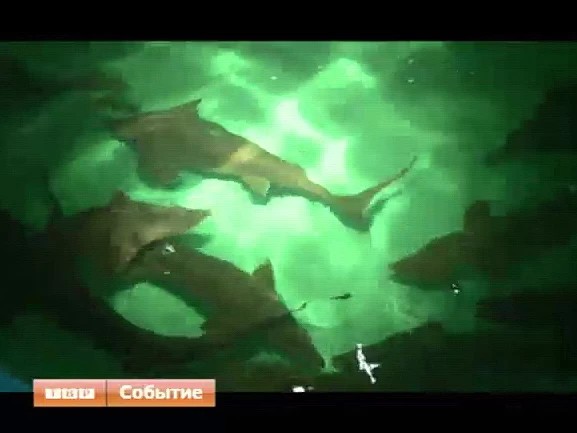 Осетровая ферма набирает обороты