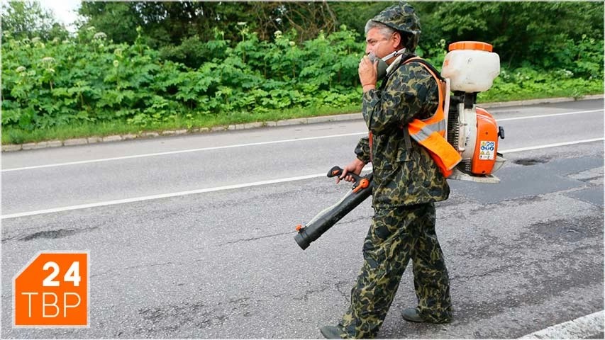 Около 2000 га обработают от борщевика в Сергиево-Посадском округе