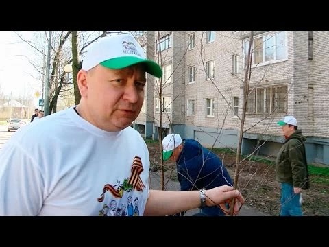 Михаил Токарев принял участие в акции «Лес Победы»