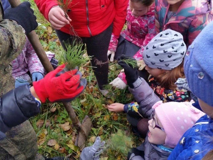 В Сергиевом Посаде появилась аллея, высаженная школьниками