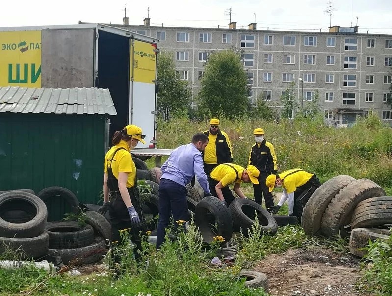 Экологическая программа «ЭкоПатруль DUNLOP» началась в Дмитрове