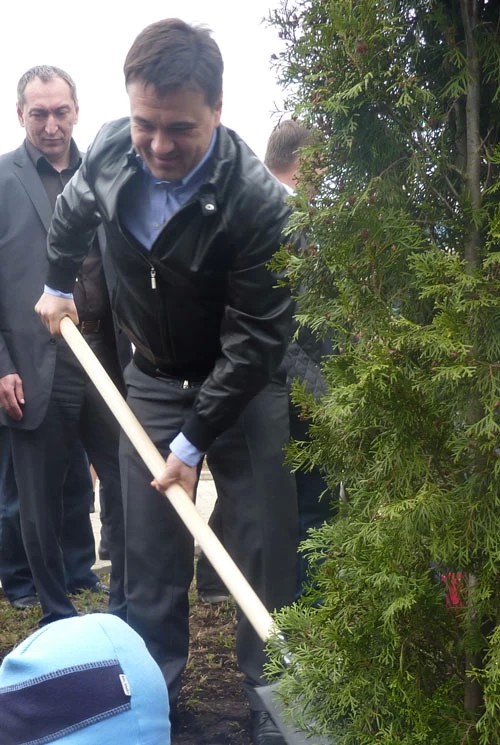 Туя, которую посадил Воробьёв