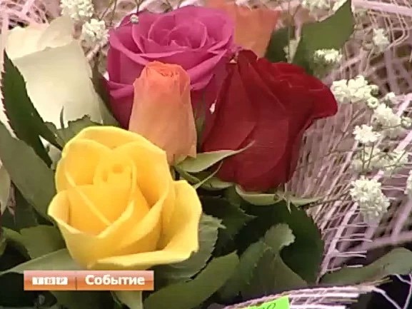 День знаний