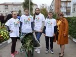 Яблони в школьном саду