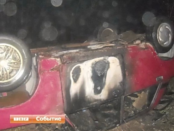 Два десятка пожаров, в том числе многочисленные палы сухой травы
