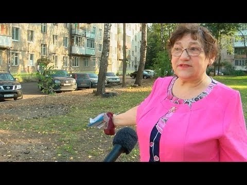 Зелёный вандализм