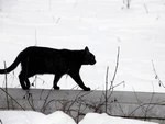 Пятница, 13-е — верить или проверить?
