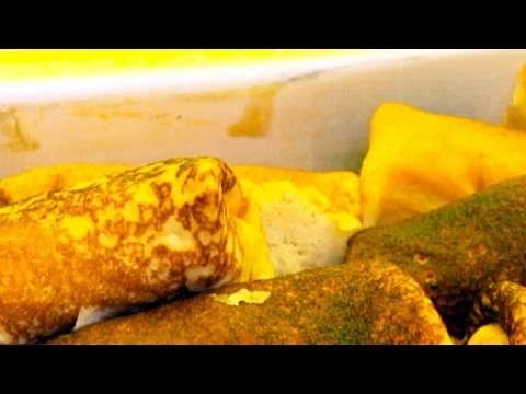 Программа Масленицы в Сергиевом Посаде и Хотькове