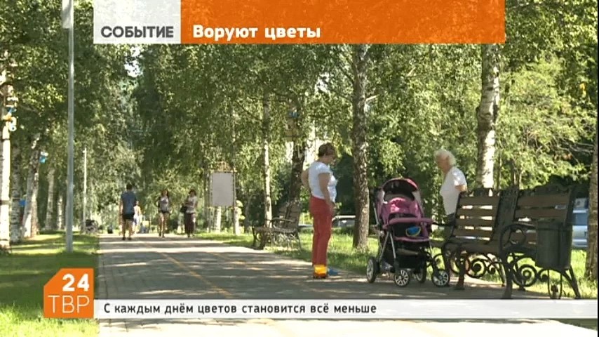 Еще недавно на этих клумбах было куда больше желтых и красных барбарисов, но с каждым днём их становится всё меньше