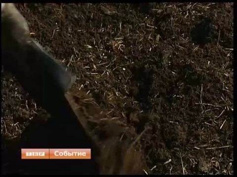 Не горит и даже не тлеет