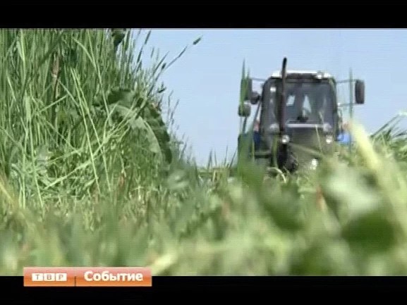 Варианты развития фермерского хозяйства в Сергиево-Посадском районе обсуждались на встрече главы района Сергея Пахомова с представителями фермерских хозяйств