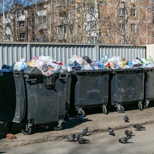 В Мособлдуме обсудили мусорную проблему Сергиева Посада