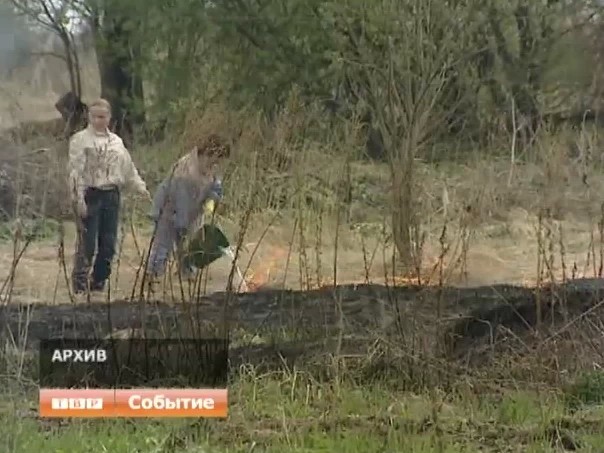 Поджоги сухой травы зафиксированы в Сергиево-Посадском районе