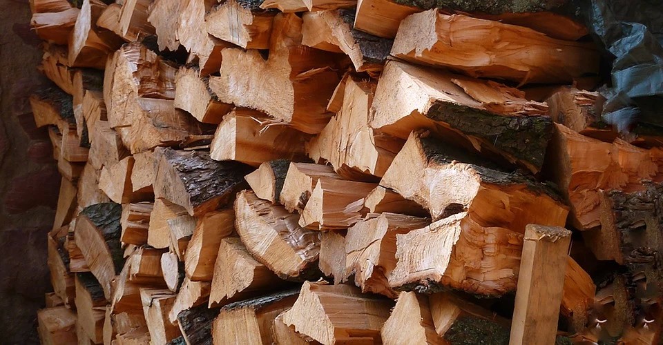Сергиевопосадцы стали меньше заготавливать дрова