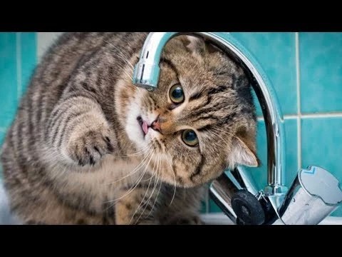График плановых отключений горячей воды в Сергиевом Посаде и районе