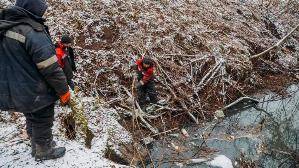 Русло и береговая линия безымянного ручья в районе Московского шоссе преобразились