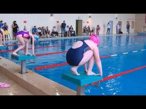 Заплывы на «Кубок Олимпа»