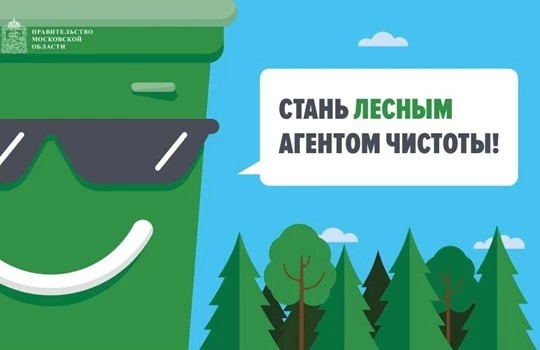 Новые контейнеры для мусора в лесной зоне Сергиева Посад появятся в Ваулино