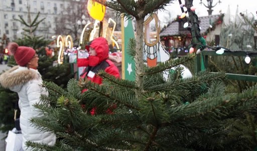 Цены на ёлочных базарах в этом году