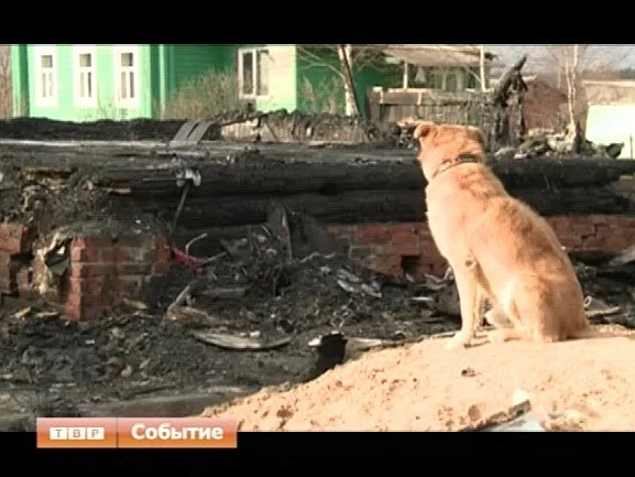 Погорельцам нужна помощь. В Березняках многодетная семья осталась без крыши над головой
