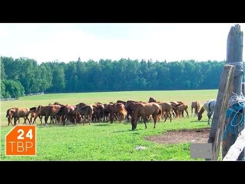 Павел Мощалков задумал новый поход
