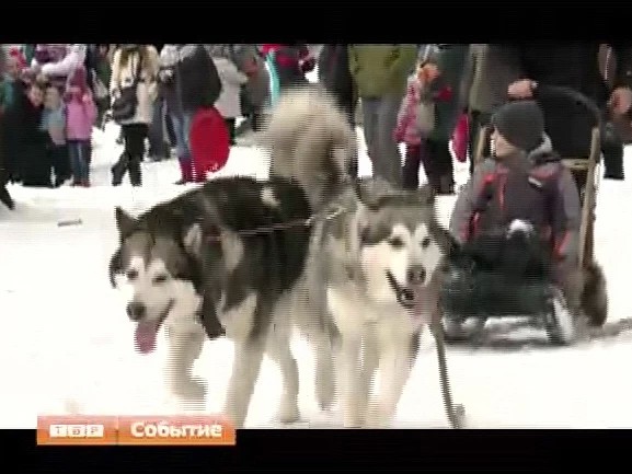 Тысячи горожан проводили зиму. На Скитских прудах состоялось празднование Масленицы