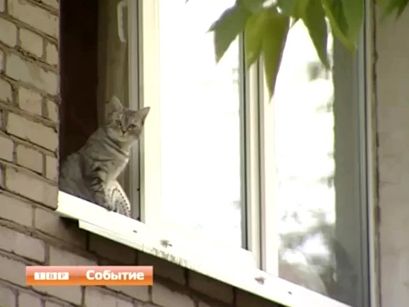 Ситуация с вывозом мусора в Сергиевом Посаде приходит в норму