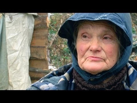 Похоже, жизни на свалке с собаками приходит конец